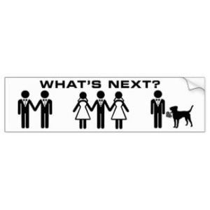 gay_marriage_whats_next_traditional_marriage_bumper_sticker-r5eea8b6da2f047e9ac7450b3e7933ac2_v9wht_8byvr_324